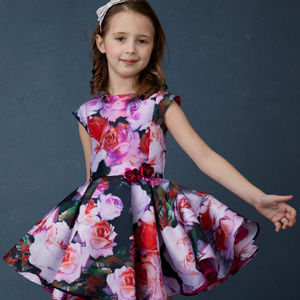 NEW 2T Valentines Day Halabaloo‎ Pink & Red Roses Girls Party Dress